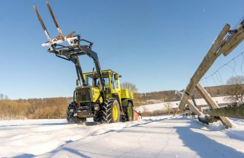 Ferienhof Homann Sauerland - Foto 33