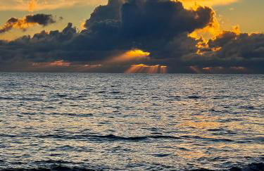 Trulli delle succulente - Foto 20