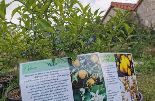 La grange de Pierrot - Foto 7