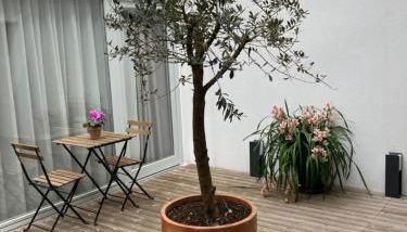 RIBEIRA FLORES 59 Downtown Apartments - Foto 4