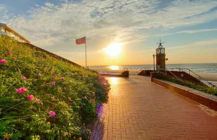 Hund im Glück - Foto 21