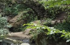 Ferienwohnung am Pferdemarkt - Foto 77