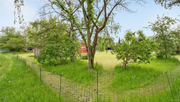 "Aris" - 480m from the sea - Foto 4, Place