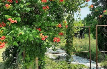 Accommodation in Sant'Erasmo Venice 3 - Foto 12