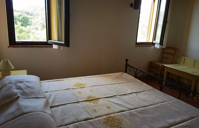 la corte degli ulivi - Foto 2