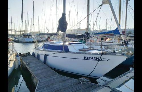 Experiência náutica única - Estadia e Passeio - Foto 18