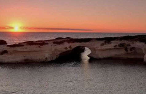 Il Balenottero - Photo 36