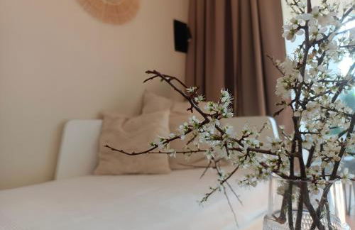 T1 Bis avec piscine vue golf et montagnes - Foto 11