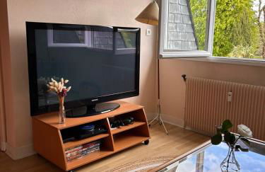 LAROCHE Grand duplex dans le centre historique avec garage - Foto 7