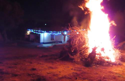 MONTE DO SALTO DA RAPOSA - Foto 45