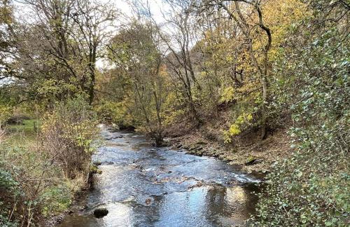 3 Bed in Llandrindod Wells oc-85926 - Foto 32