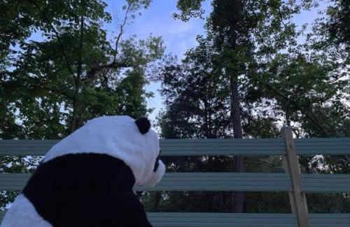 La cabane du Panda - Foto 14