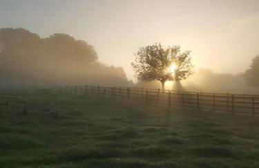 Bainvalley Cottages, Beautiful North Cottage - Foto 19