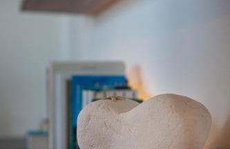 Live Your Dream - Foto 26