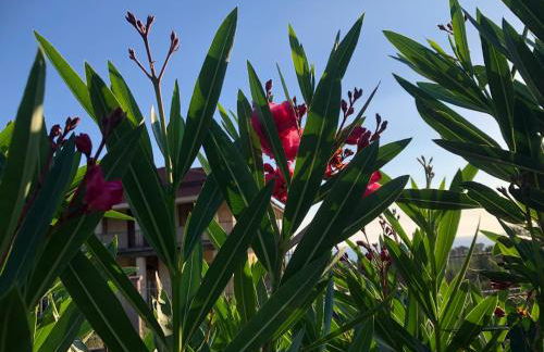 Beautiful Farm House - Foto 11