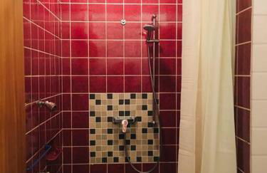 Ferienwohnung mit Sauna Reiterhof barrierefrei - Foto 11