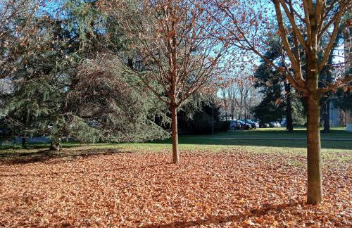 SANDONHOUSE MILANO - Foto 5