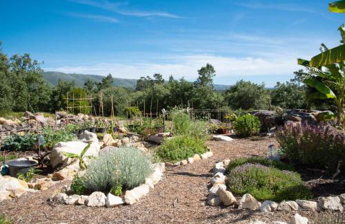 Casa Gemeos - Foto 17