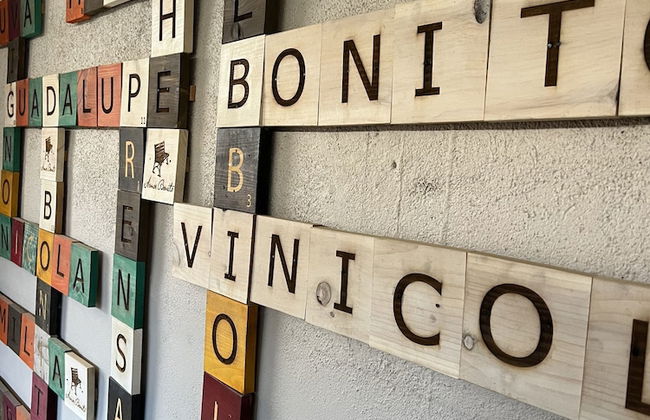 Ecovino Valle de Guadalupe - Foto 3