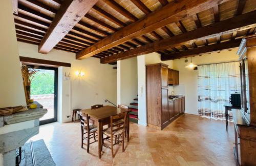 Agricola Caicucci - Foto 7