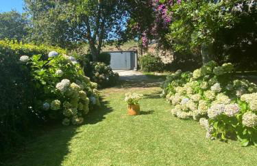 Brandián 17 - Foto 14