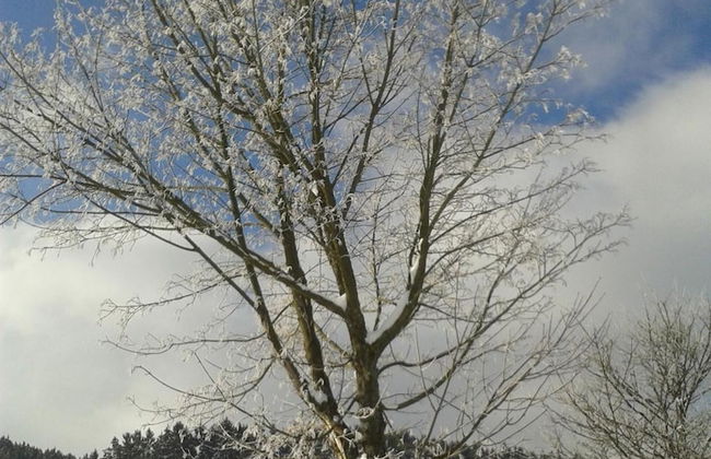 Pension & Ferienwohnung Schweinsberg - Foto 43