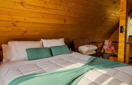 Vale Encantado Alfredo Wagner - Photo 38