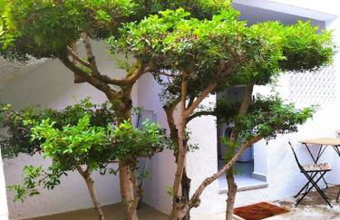 La casa de las Palmeras - Foto 15