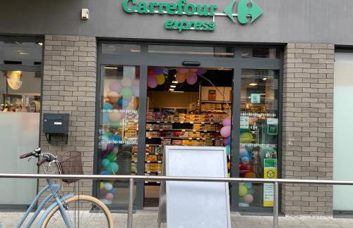 Cosy apartment on Strasbourg tramway line - Foto 35