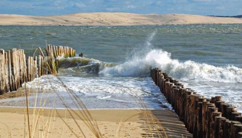 T1bis dans les dunes du Cap Ferret - Foto 2