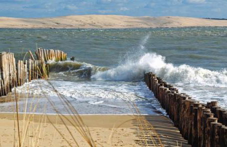 T1bis dans les dunes du Cap Ferret - Foto 2