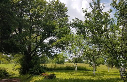 House Petra - Foto 5