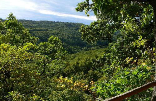 Am Turm Modern retreat - Foto 29