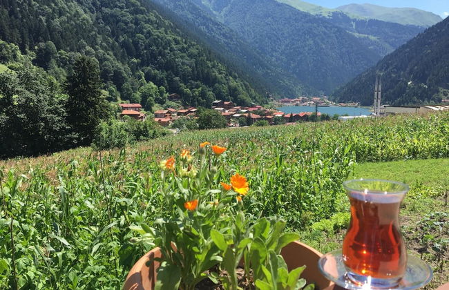 Zeren Pansiyon - Photo 51