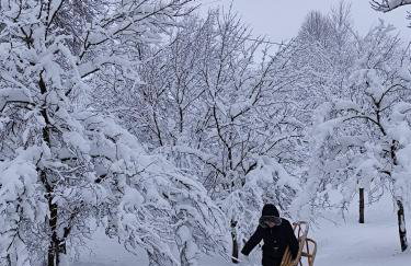 Apartman Mali raj - Foto 75