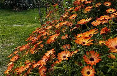 Villa Vaso with jacuzzi - Foto 34