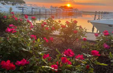 LunaSole Casa vacanza mare - Photo 46