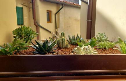 Casa Vacanze I Leoni Empoli - Foto 8