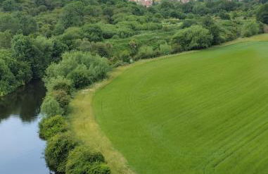 Little House On The Hill Walks Castle Restaurants pet friendly - Foto 14