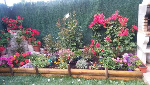 Casarosaenea - Foto 2