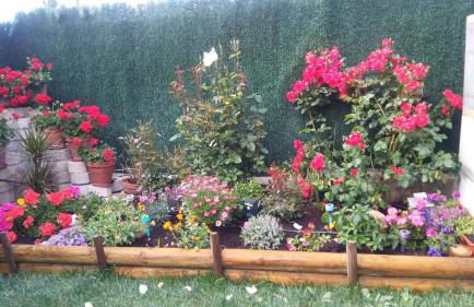 Casarosaenea - Foto 2