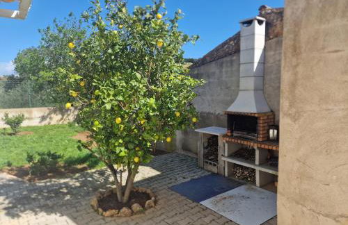 Quinta Sabaudia - Foto 53