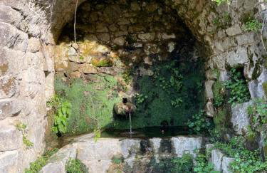 Casa Arena Authentique maison de village avec piscine au cœur de l’Alta Rocca - Zoza - Foto 64