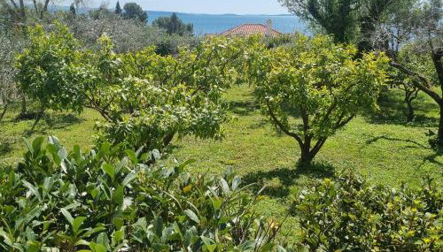 Apartment Green Oasis - Photo 4