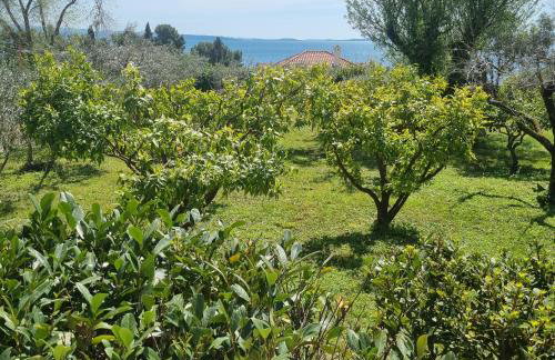 Apartment Green Oasis - Photo 4