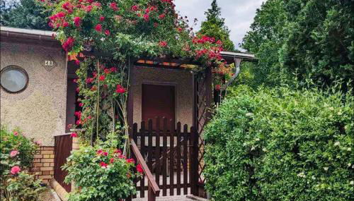 Grüner Bungalow am Kiebitzsee - Foto 2