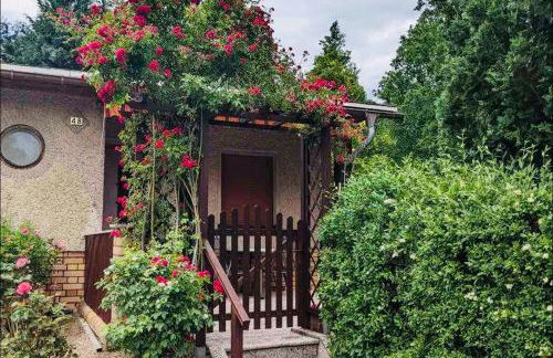 Grüner Bungalow am Kiebitzsee - Foto 2