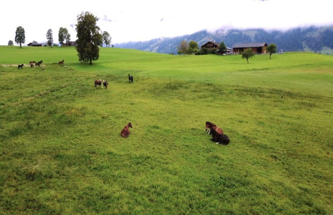 Studio in Kleinarl Near Ski Amade Slopes - Foto 21