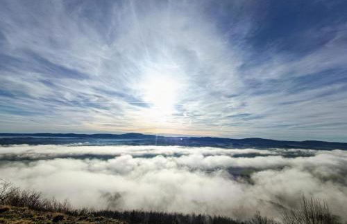 Am Sandberg - Foto 20