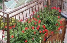 Le gîte de Marina - Foto 19